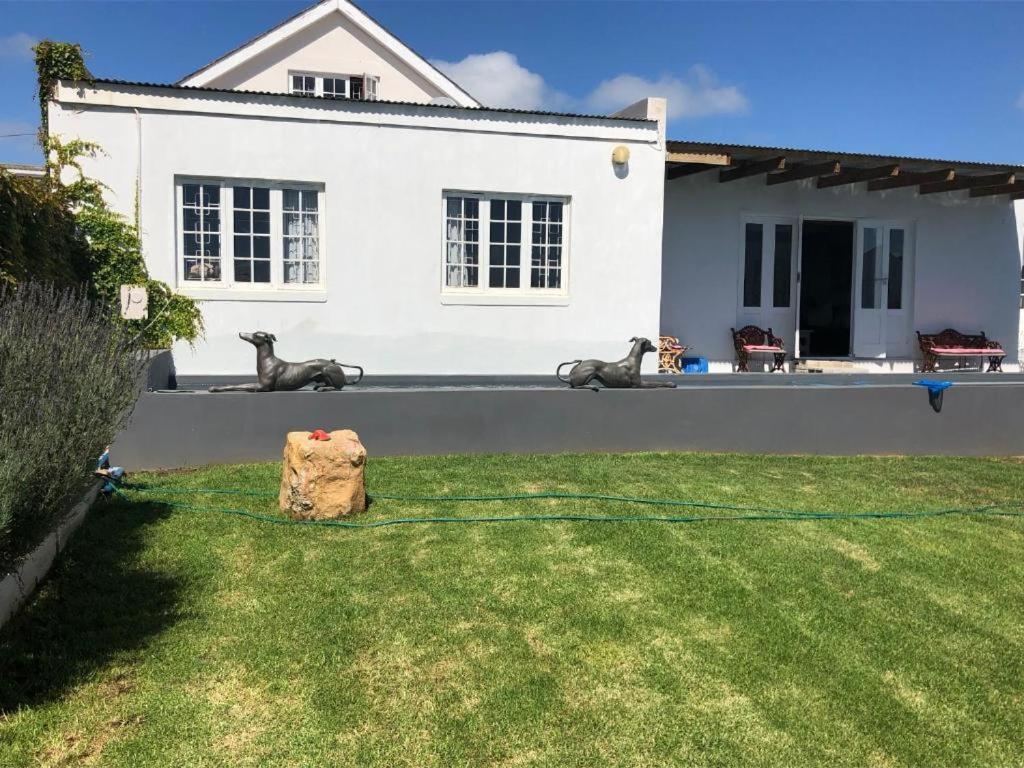 De La Fontaine Guest Cottage And Pool View Luxury Suite プレッテンバーグ・ベイ エクステリア 写真